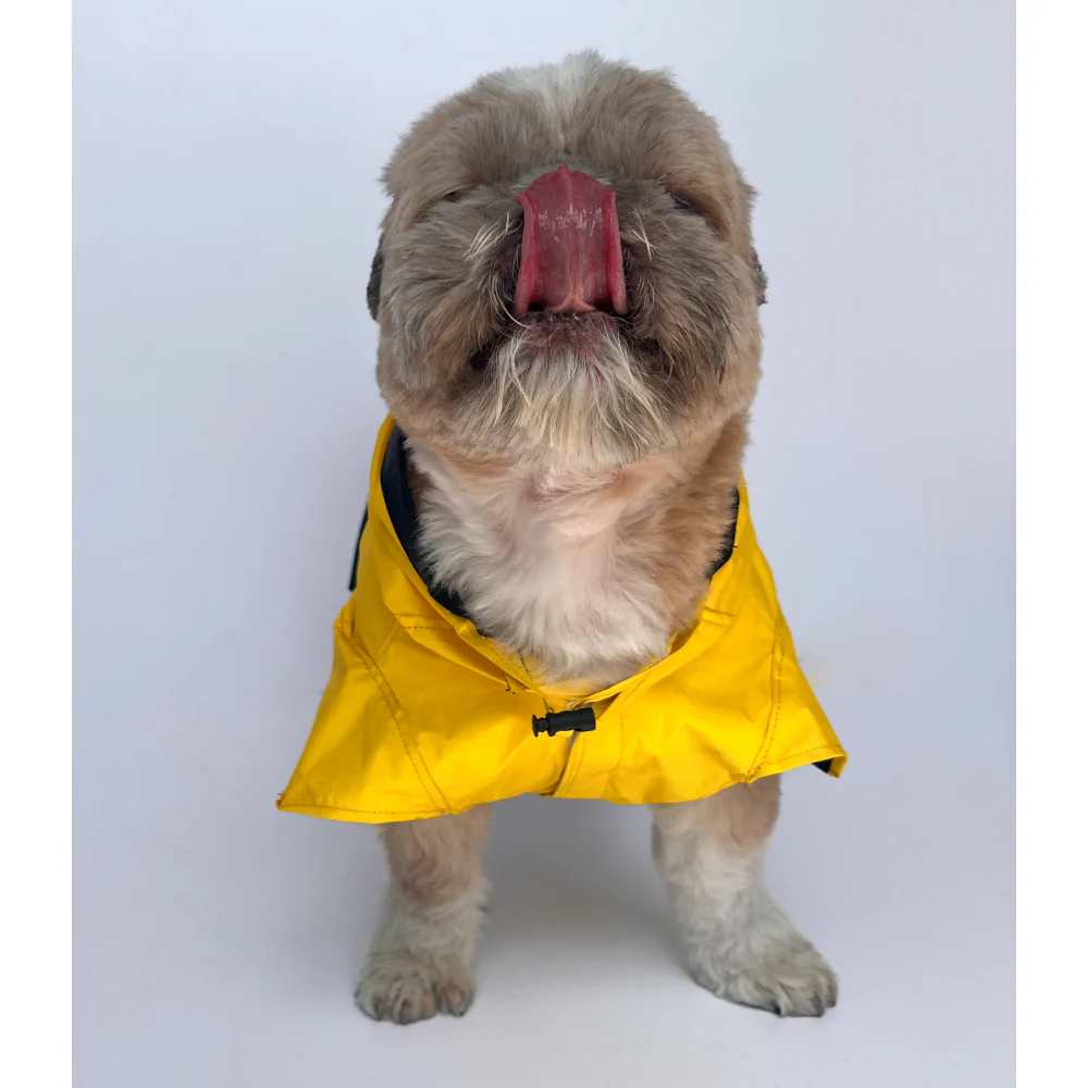 Pawgypets Raincoat for Dogs and Cats (Yellow Taxi) - Image 6