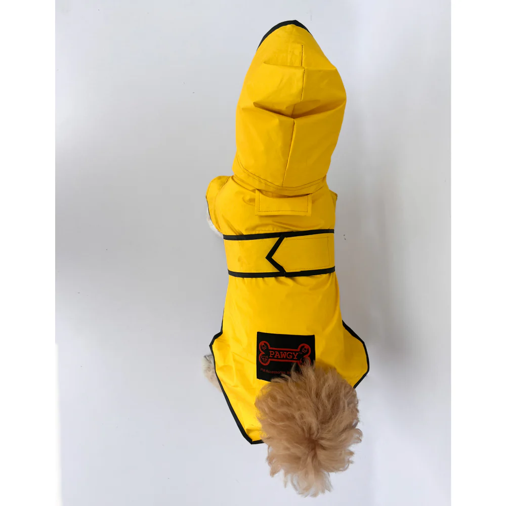 Pawgypets Raincoat for Dogs and Cats (Yellow Taxi) - Image 7