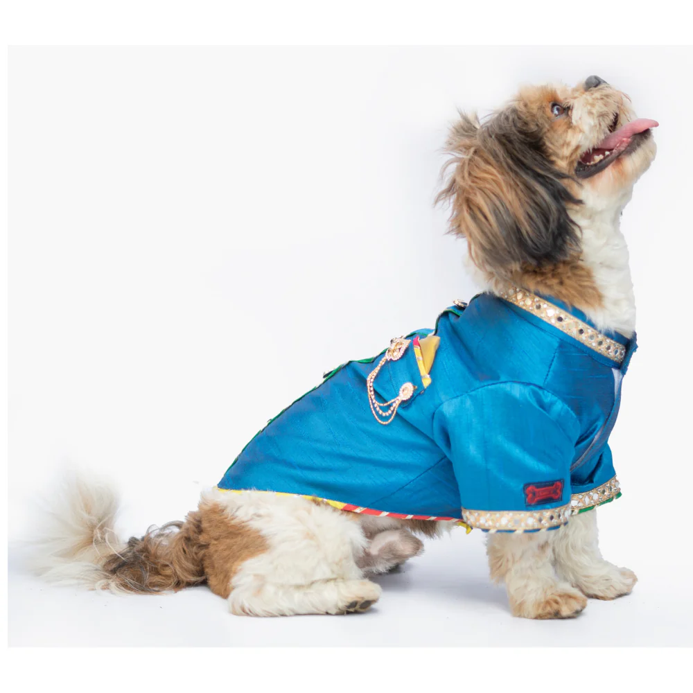 Pawgypets Raw Silk Sherwani for Dogs and Cats (Blue) - Image 2