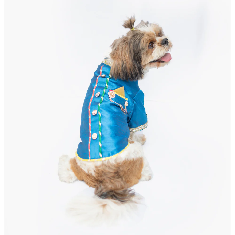 Pawgypets Raw Silk Sherwani for Dogs and Cats (Blue) - Image 3