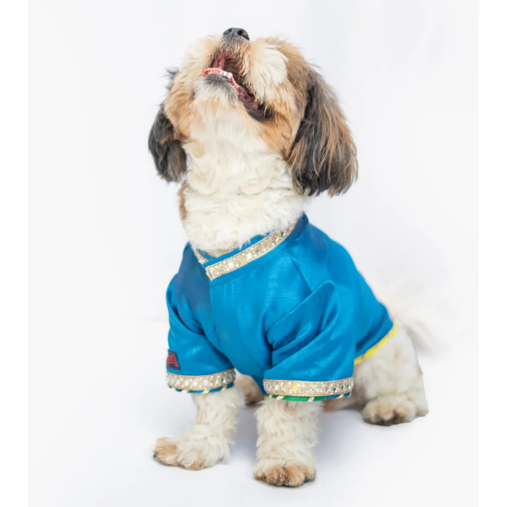 Pawgypets Raw Silk Sherwani for Dogs and Cats (Blue) - Image 5