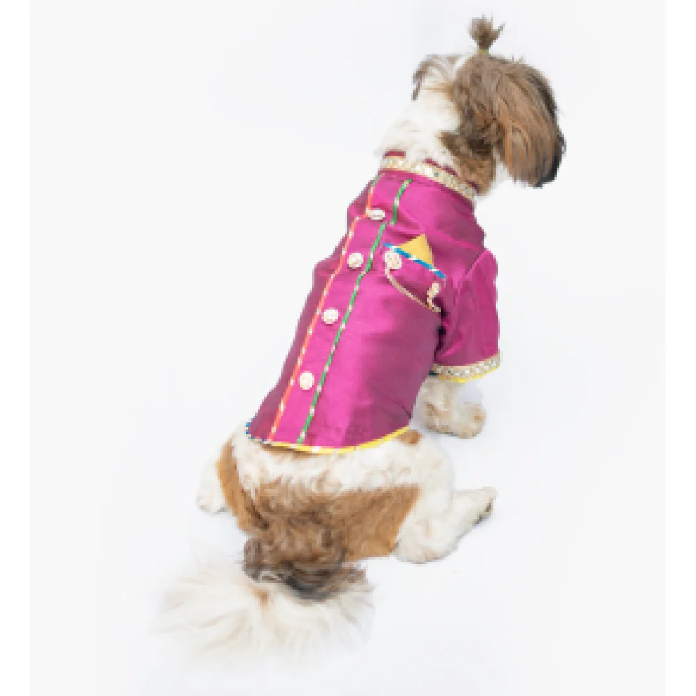 Pawgypets Raw Silk Sherwani for Dogs and Cats (Rani) - Image 2