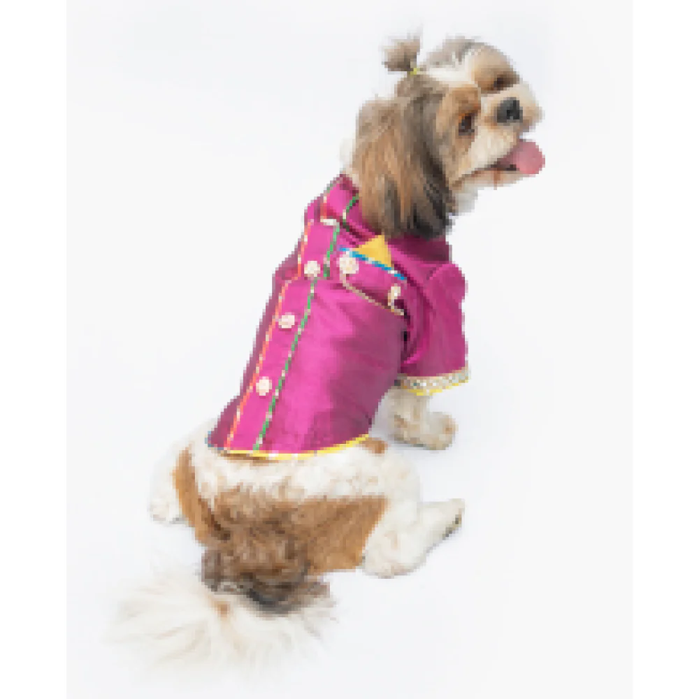 Pawgypets Raw Silk Sherwani for Dogs and Cats (Rani) - Image 4