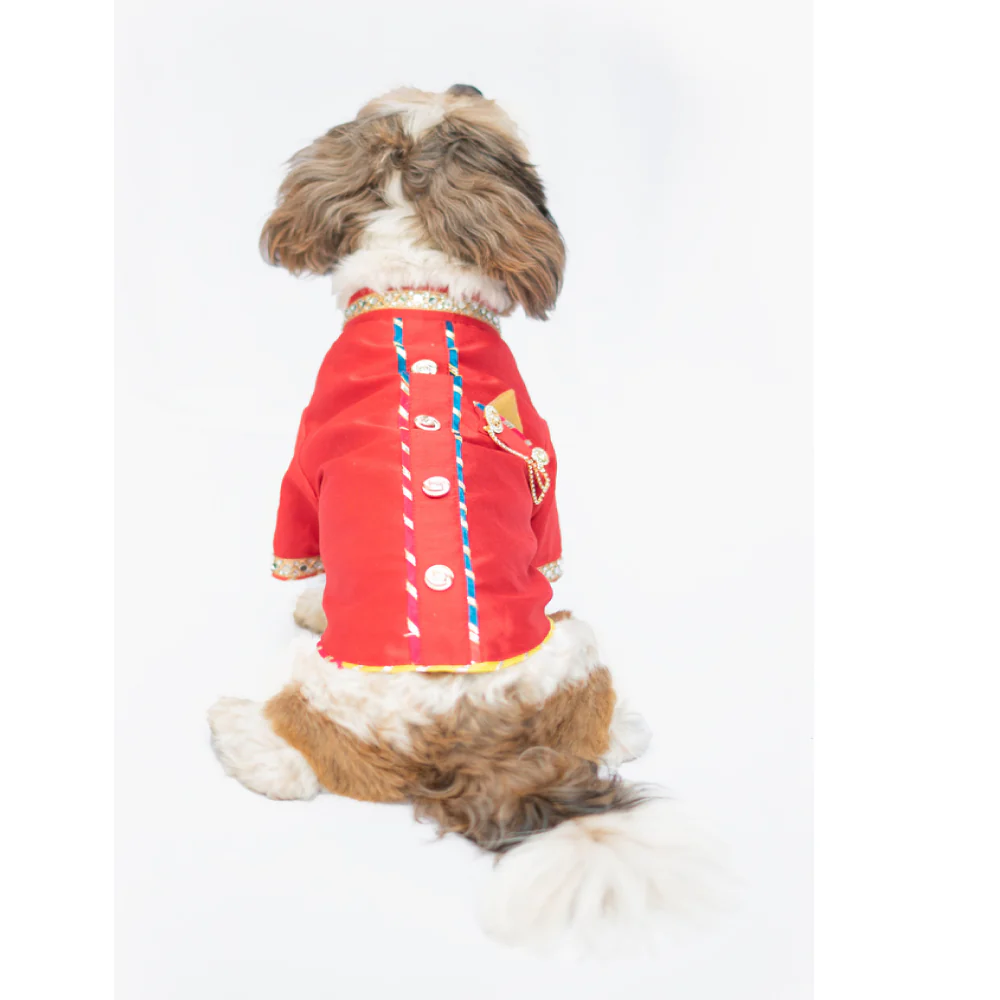 Pawgypets Raw Silk Sherwani for Dogs and Cats (Red) - Image 3
