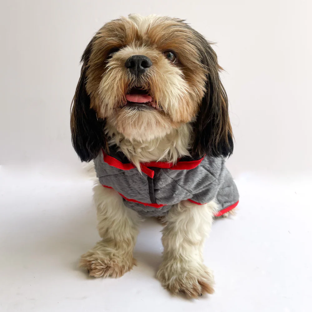 Pawgypets Reversible Quilted Jacket for Dogs and Cats (Grey/Red) - Image 7
