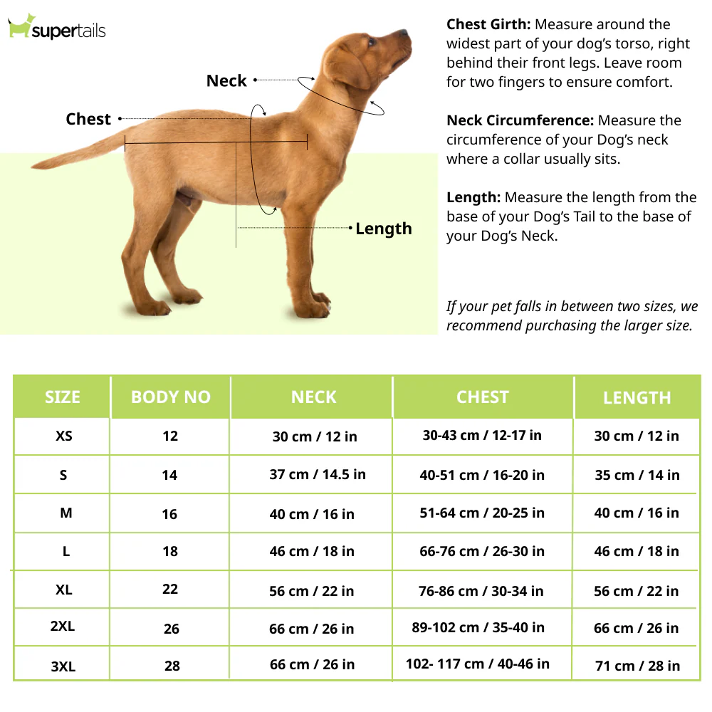 Pawgypets Reversible Quilted Jacket for Dogs and Cats (Olive Green) - Image 2