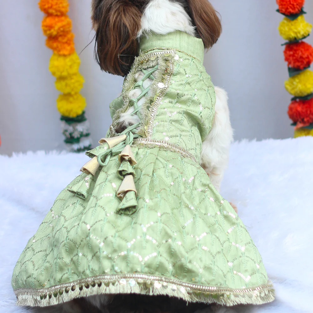 Pawgypets Shahi Lehengas Dress for Dogs (Pastel Green) - Image 3