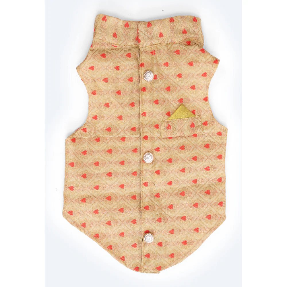 Pawgypets Sherwani for Dogs and Cats (Golden) - Image 2