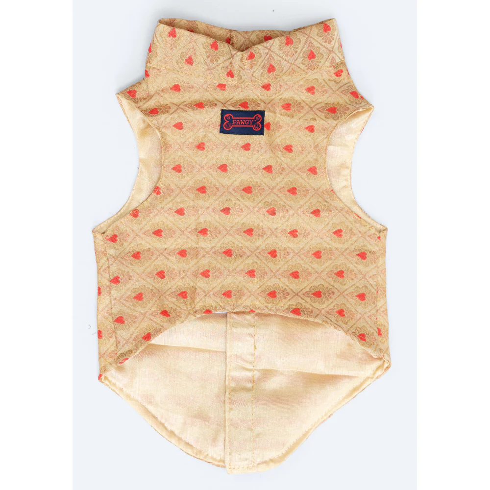 Pawgypets Sherwani for Dogs and Cats (Golden) - Image 3