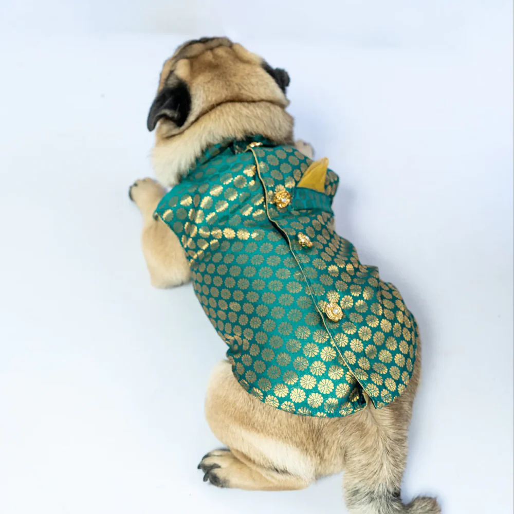 Pawgypets Sherwani for Dogs and Cats (Blue) - Image 5