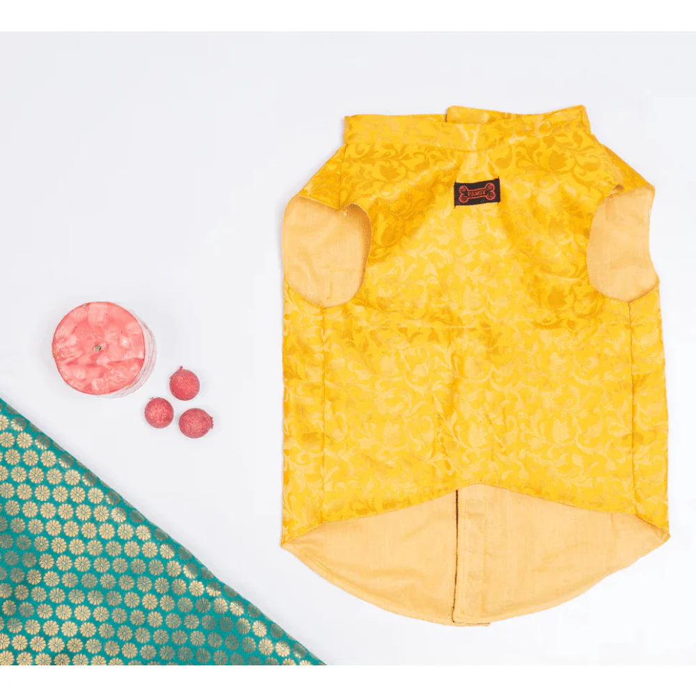 Pawgypets Sherwani for Dogs and Cats (Yellow) - Image 4