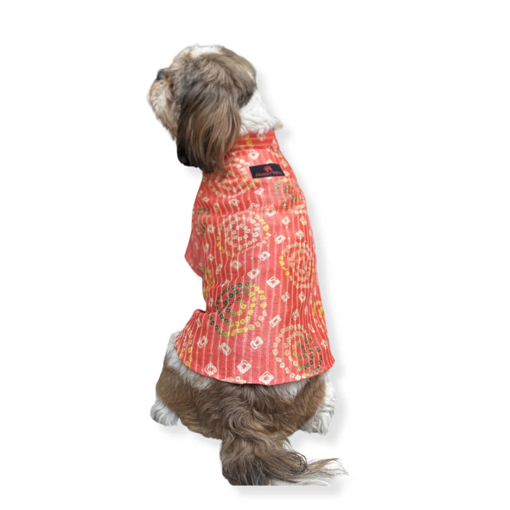 Pawgypets Silk Kurta for Dogs and Cats (Peach) - Image 2