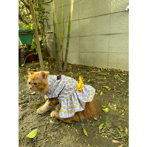 Pawgypets Smiley Daisy Dress for Cats (Lavender) - Image 3