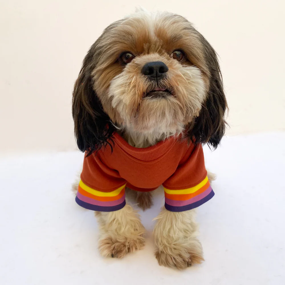 Pawgypets Smiley Sweatshirt for Dogs and Cats (Rust) - Image 3