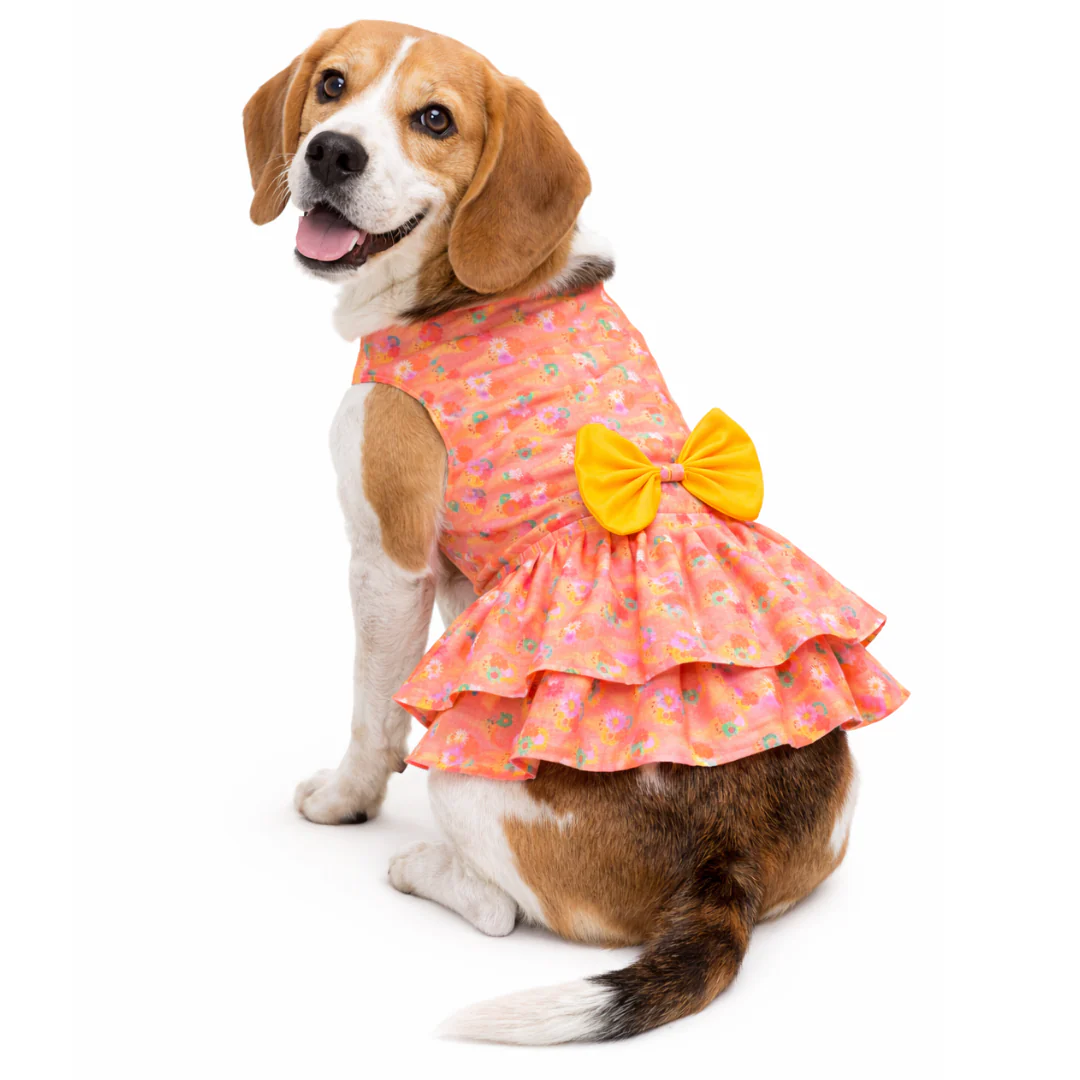 Pawgypets Softy Casual Dress for Dogs (Peach) - Image 3