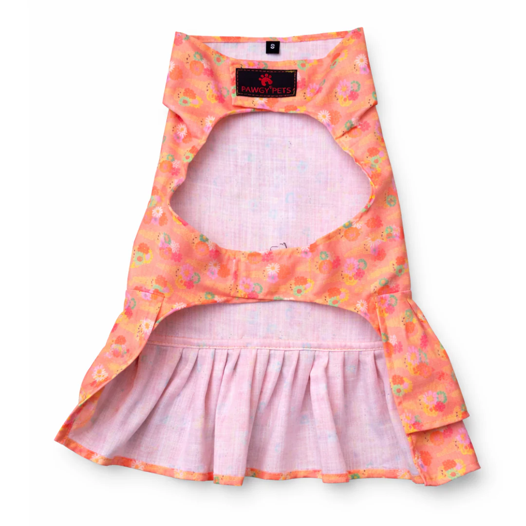Pawgypets Softy Casual Dress for Dogs (Peach) - Image 5