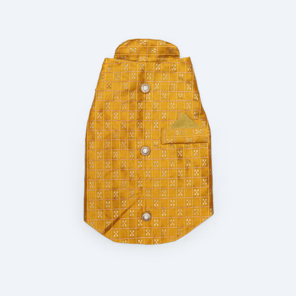 Pawgypets Strapy Sherwani for Dogs and Cats (Mustard) - Image 2