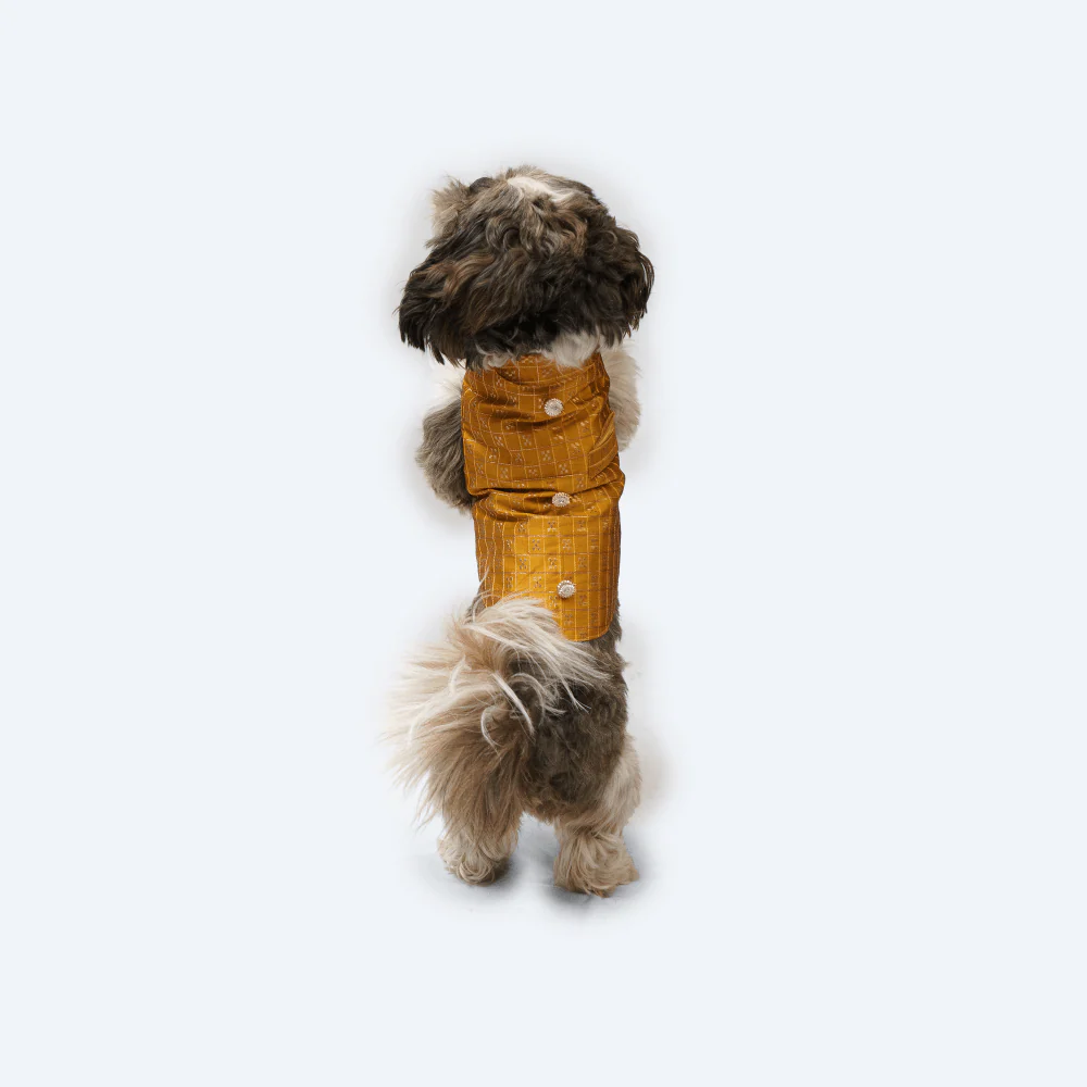 Pawgypets Strapy Sherwani for Dogs and Cats (Mustard) - Image 5