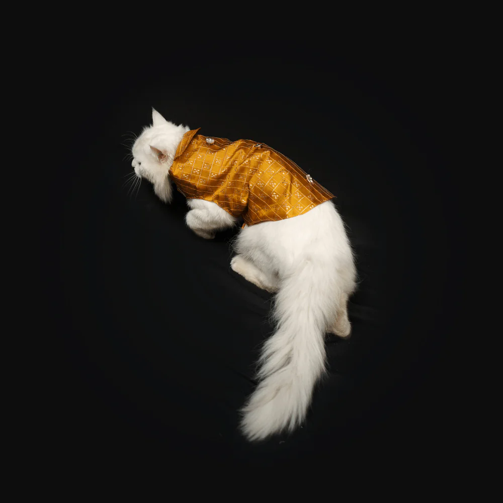 Pawgypets Strapy Sherwani for Dogs and Cats (Mustard) - Image 7