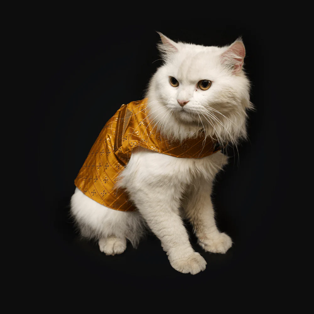 Pawgypets Strapy Sherwani for Dogs and Cats (Mustard) - Image 8