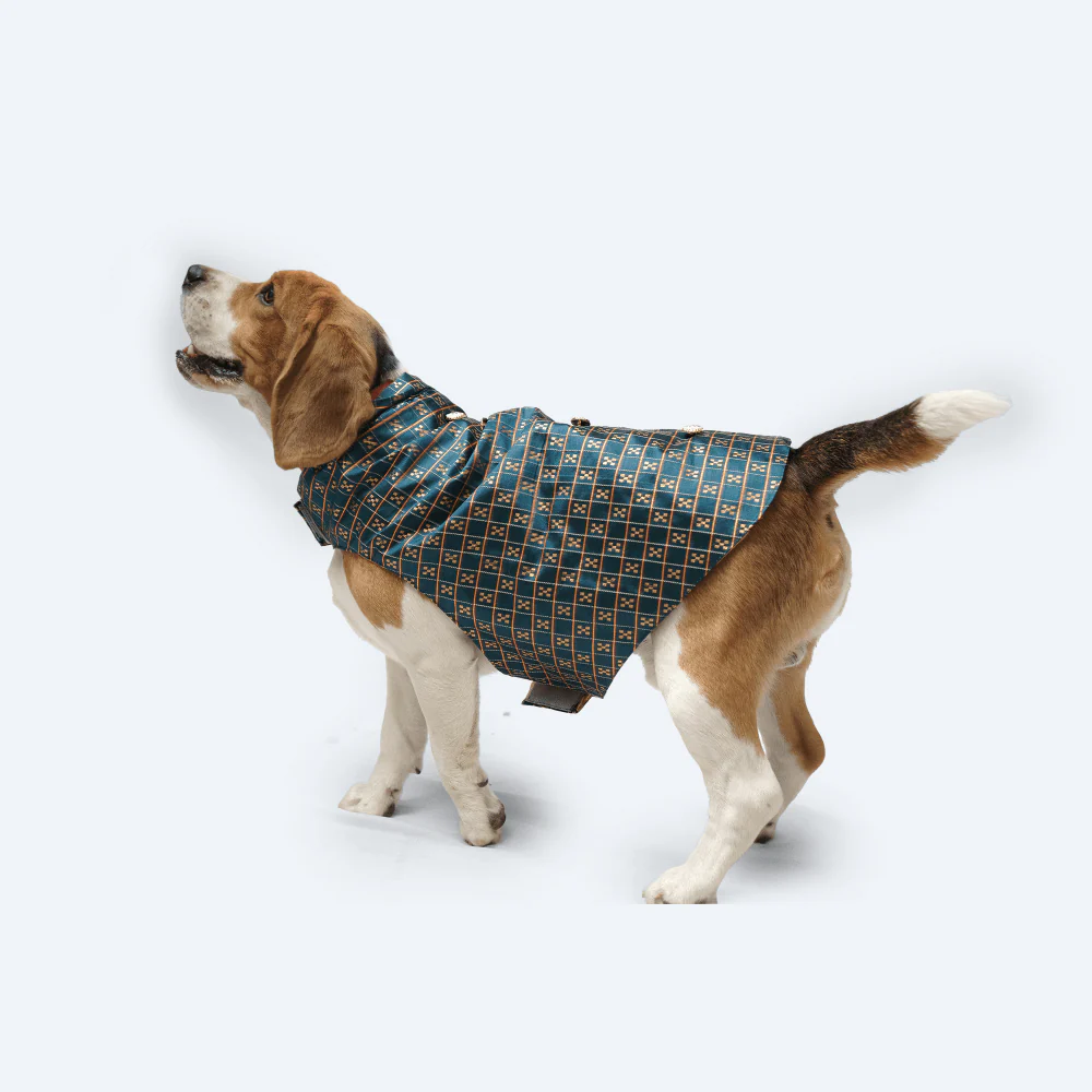 Pawgypets Strapy Sherwani for Dogs and Cats (Peacock Blue) - Image 4