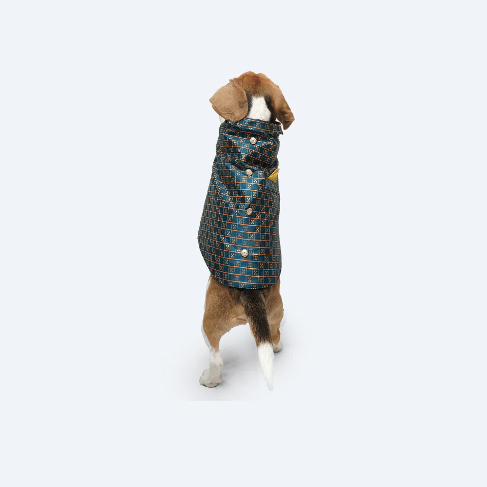 Pawgypets Strapy Sherwani for Dogs and Cats (Peacock Blue) - Image 5