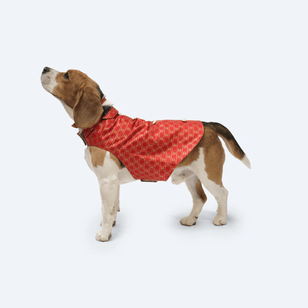 Pawgypets Strapy Sherwani for Dogs and Cats (Red) - Image 4