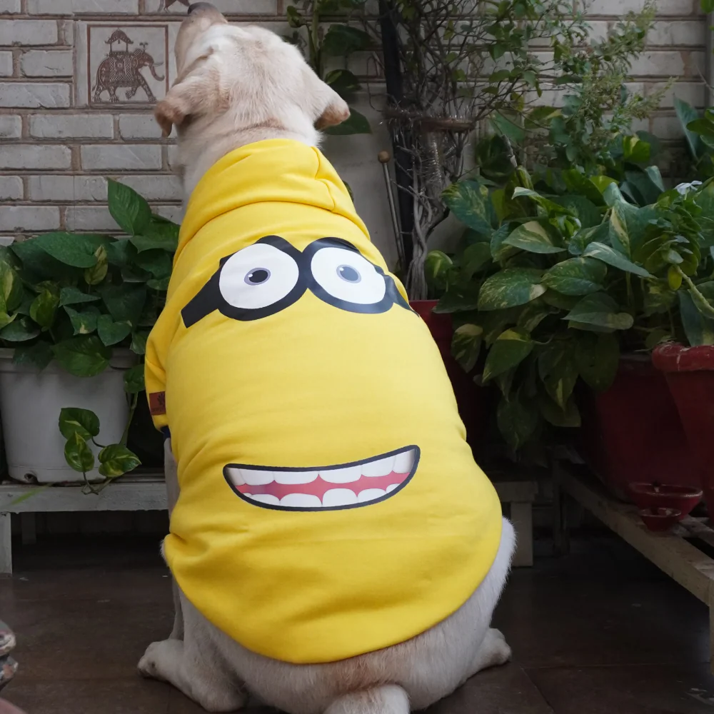 Pawgypets Stripe Hoodie Sweatshirt for Dogs and Cats (Minion Yellow) - Image 2