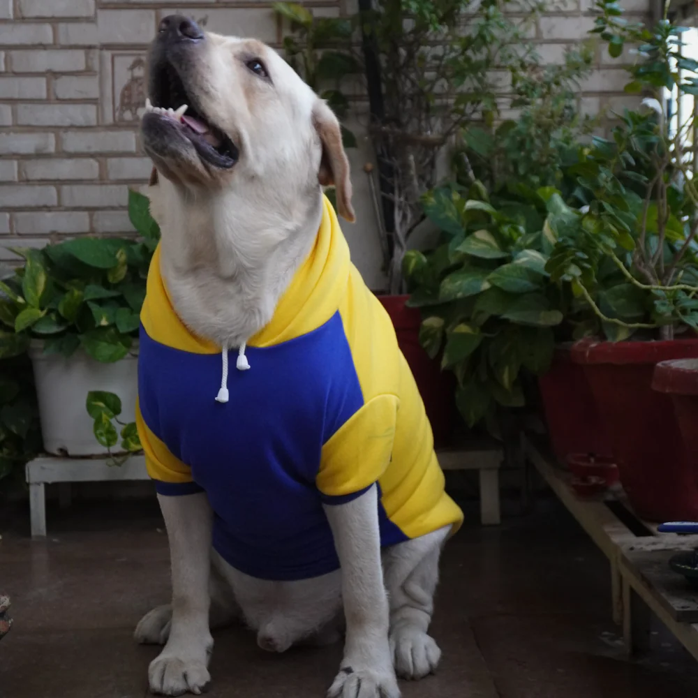 Pawgypets Stripe Hoodie Sweatshirt for Dogs and Cats (Minion Yellow) - Image 3