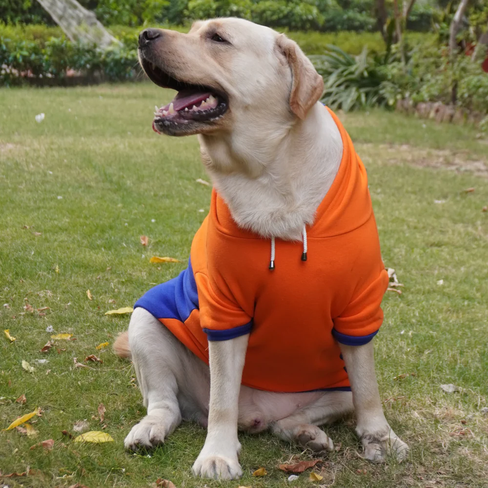 Pawgypets Stripe Hoodie Sweatshirt for Dogs and Cats (Orange/Blue) - Image 3
