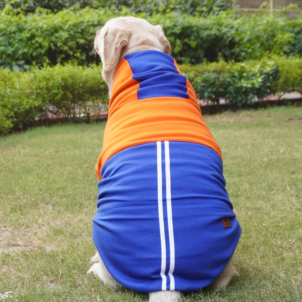 Pawgypets Stripe Hoodie Sweatshirt for Dogs and Cats (Orange/Blue) - Image 4