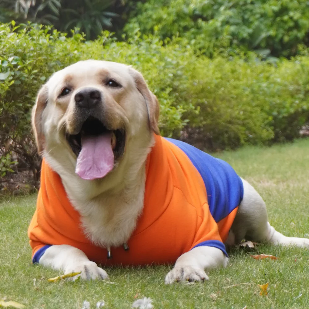 Pawgypets Stripe Hoodie Sweatshirt for Dogs and Cats (Orange/Blue) - Image 5