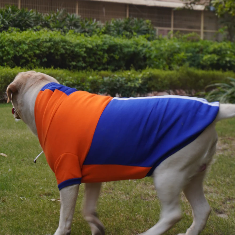 Pawgypets Stripe Hoodie Sweatshirt for Dogs and Cats (Orange/Blue) - Image 6