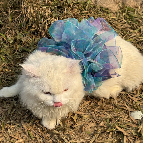 Pawgypets Tie and Dye Frilly Dress for Cats (Blue) - Image 3
