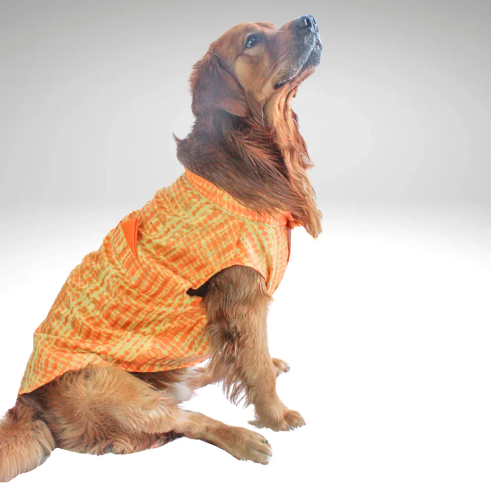 Pawgypets Tie and Dye Kurta for Dogs (Orange/Yellow) - Image 3