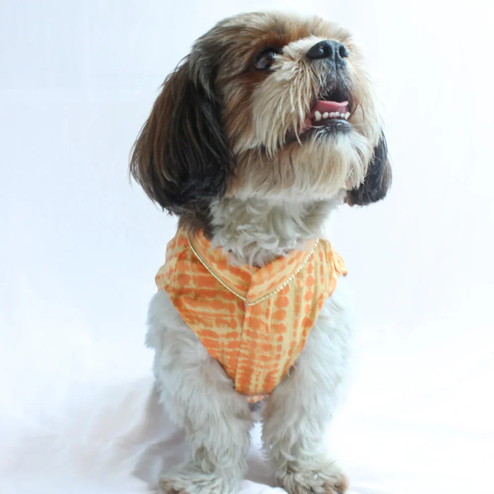 Pawgypets Tie and Dye Kurta for Dogs (Orange/Yellow) - Image 4