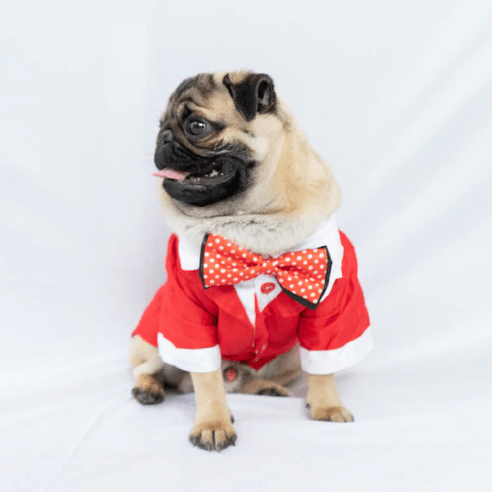 Pawgypets Tuxedo for Dogs and Cats (Red) - Image 2