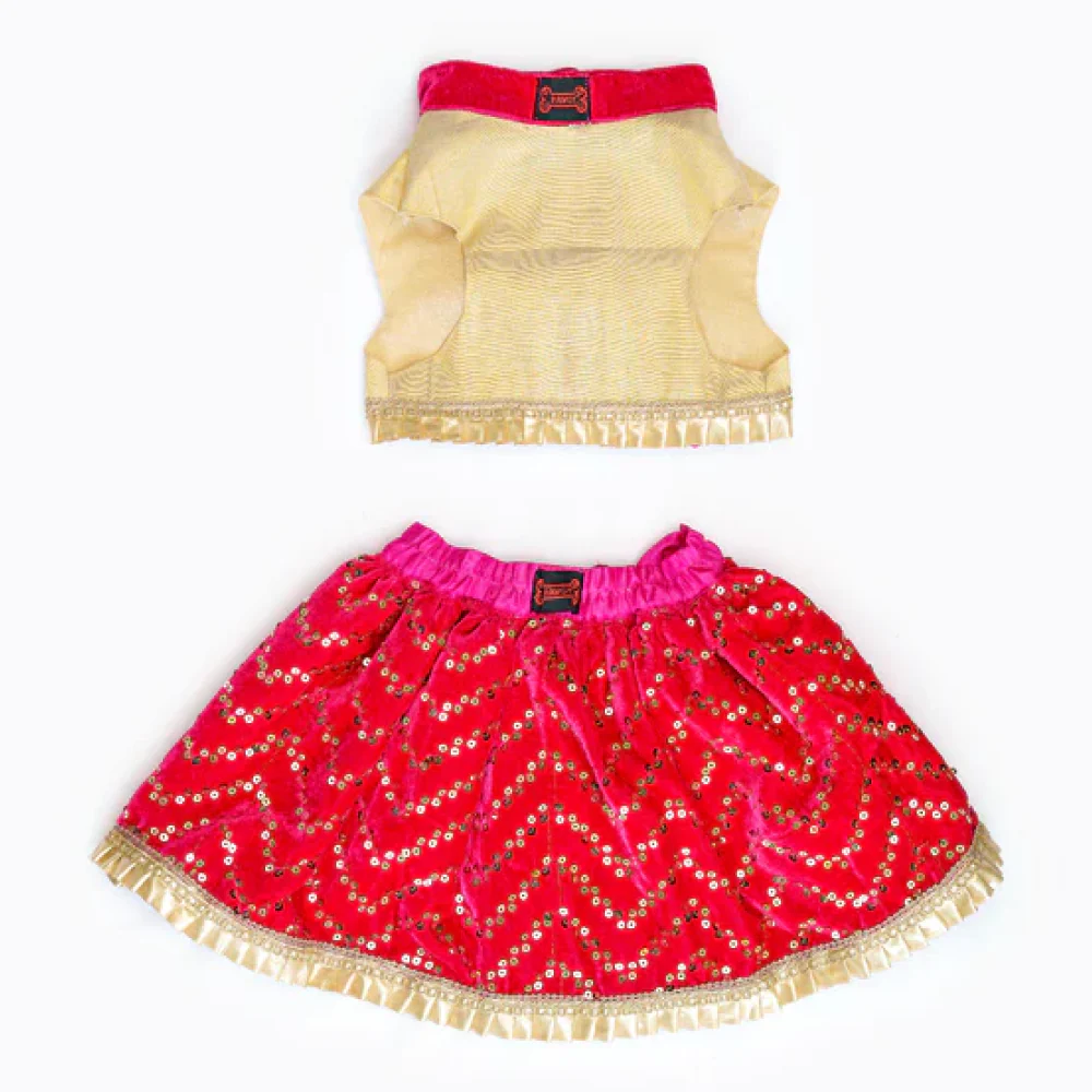 Pawgypets Velvet Lehenga for Dogs and Cats (Pink/Golden) - Image 3