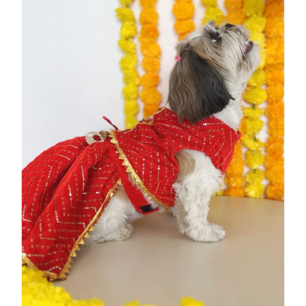 Pawgypets Velvet Lehenga for Dogs and Cats (Red) - Image 5
