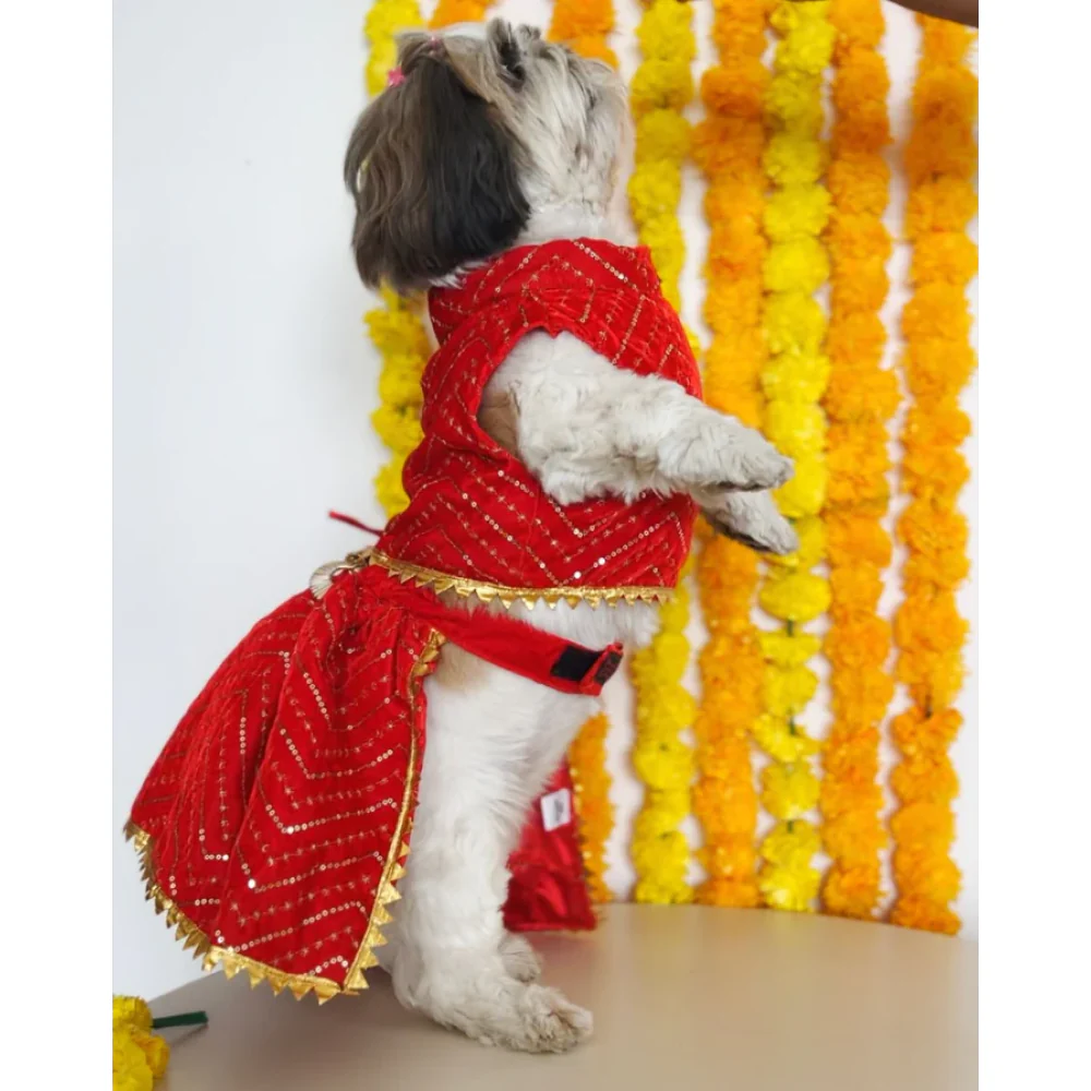 Pawgypets Velvet Lehenga for Dogs and Cats (Red) - Image 6
