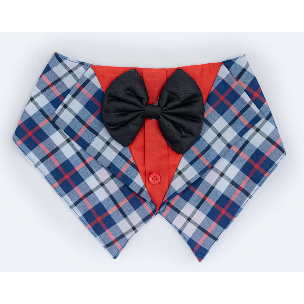 Pawgypets Waistcoat Bandana for Dogs and Cats (Blue) - Image 3