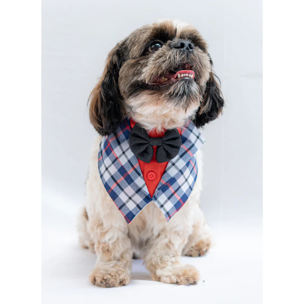 Pawgypets Waistcoat Bandana for Dogs and Cats (Blue) - Image 4