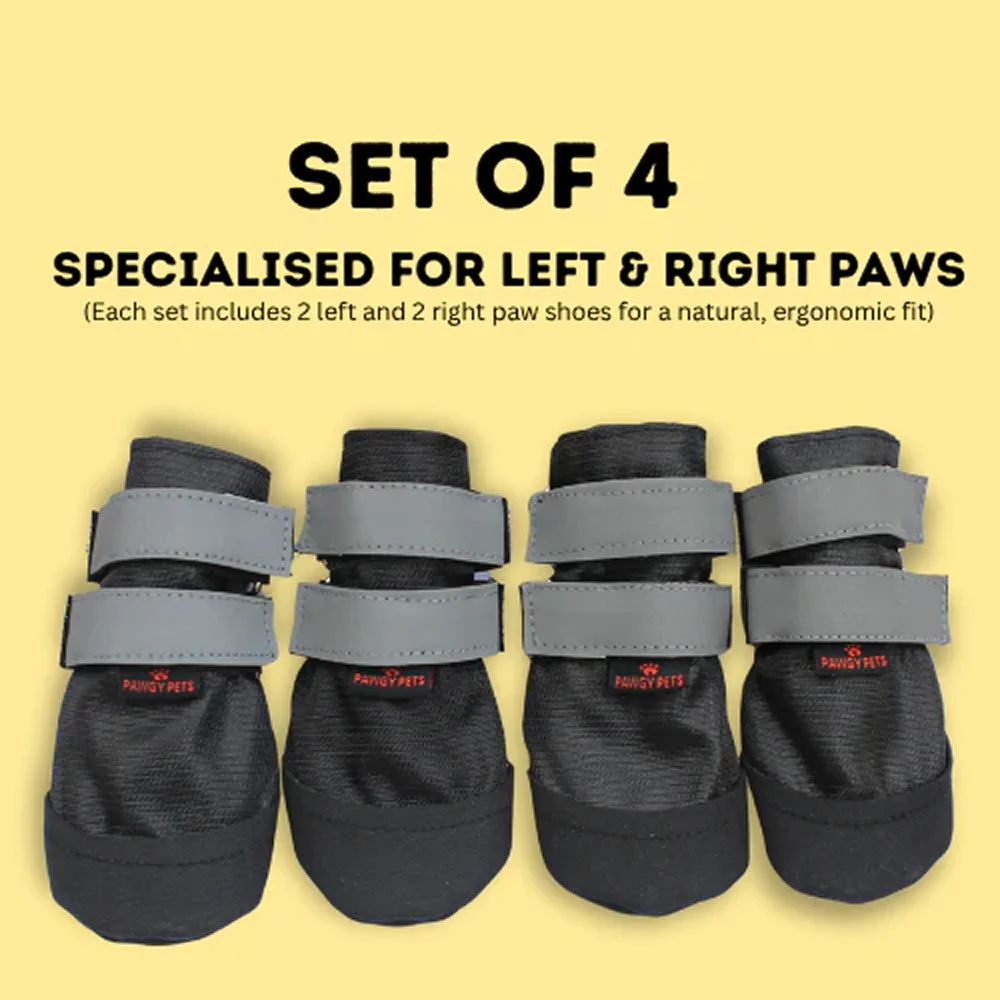 Pawgypets Walkies Everyday Shoe for Dogs (Black, Set of 4) - Image 4