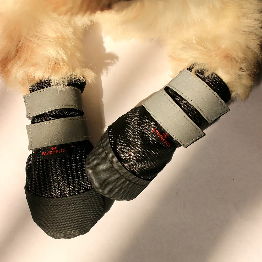 Pawgypets Walkies Everyday Shoe for Dogs (Black, Set of 4) - Image 6