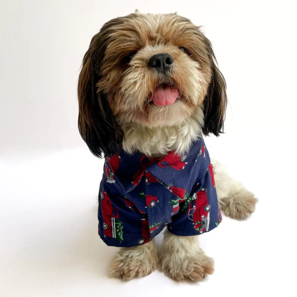 Pawgypets Warm Winter Cars Shirt for Dogs and Cats (Blue) - Image 2