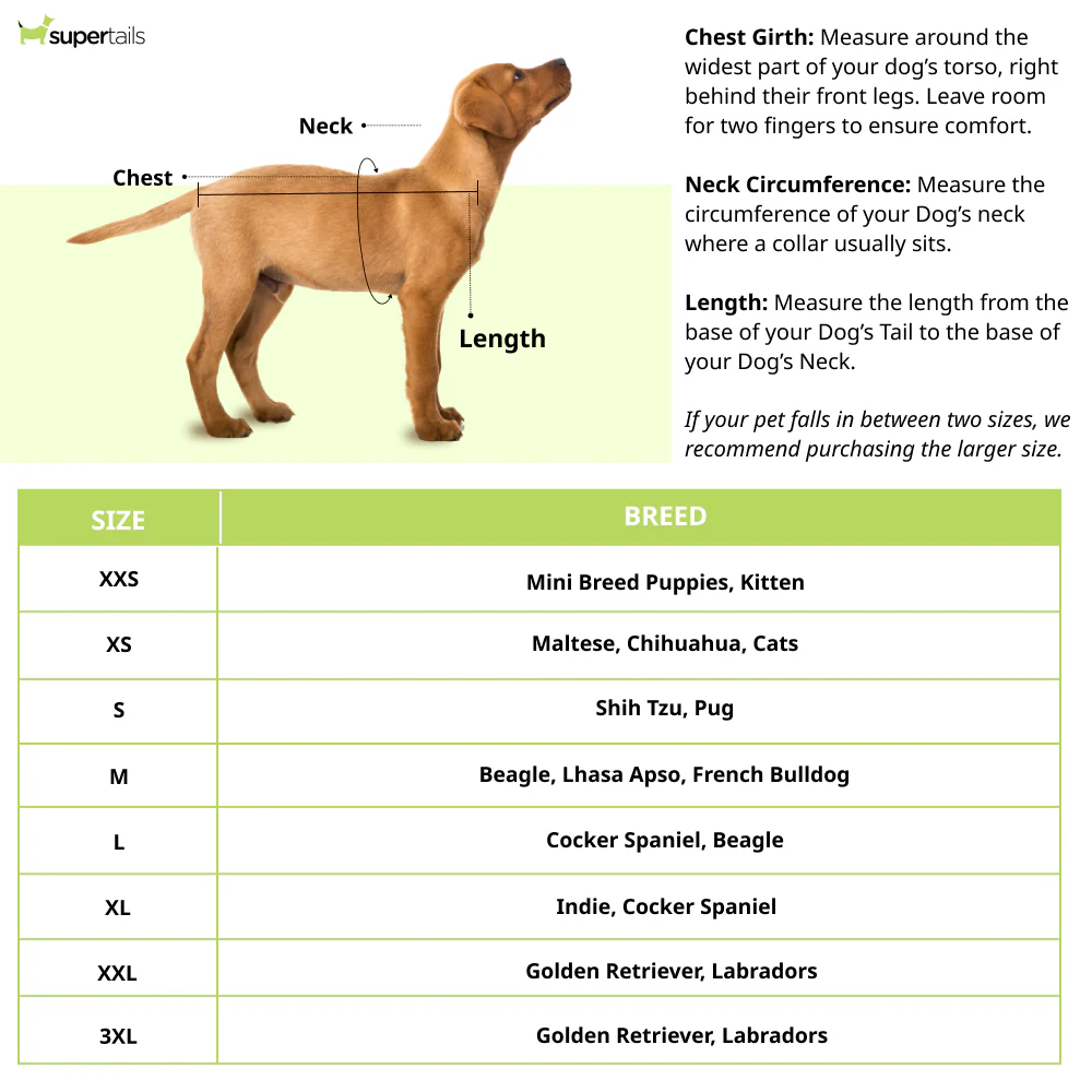 Pawgypets Warm Winter Shirt for Dogs and Cats (Green) - Image 7