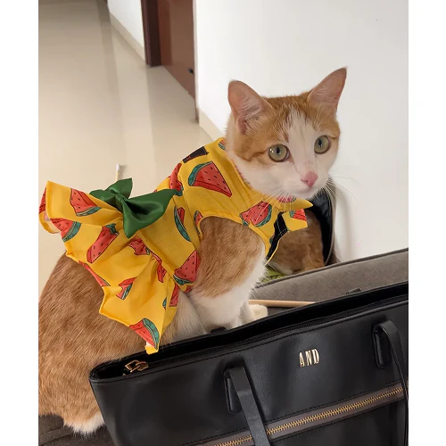 Pawgypets Watermelon Dress for Cats (Yellow) - Image 4