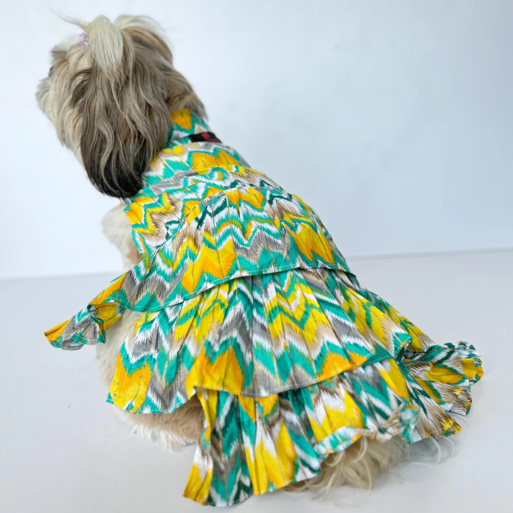 Pawgypets Zig Zag Dress for Dogs and Cats (Green) - Image 3