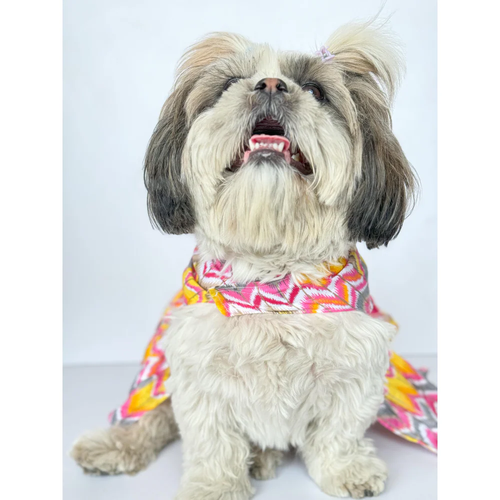 Pawgypets Zig Zag Dress for Dogs and Cats (Pink) - Image 3