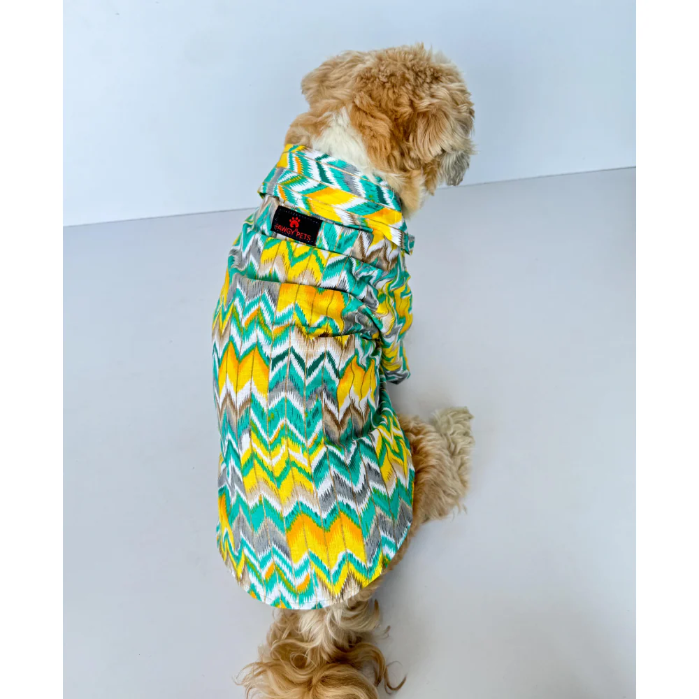 Pawgypets Zig Zag Kurta for Dogs and Cats (Green) - Image 2